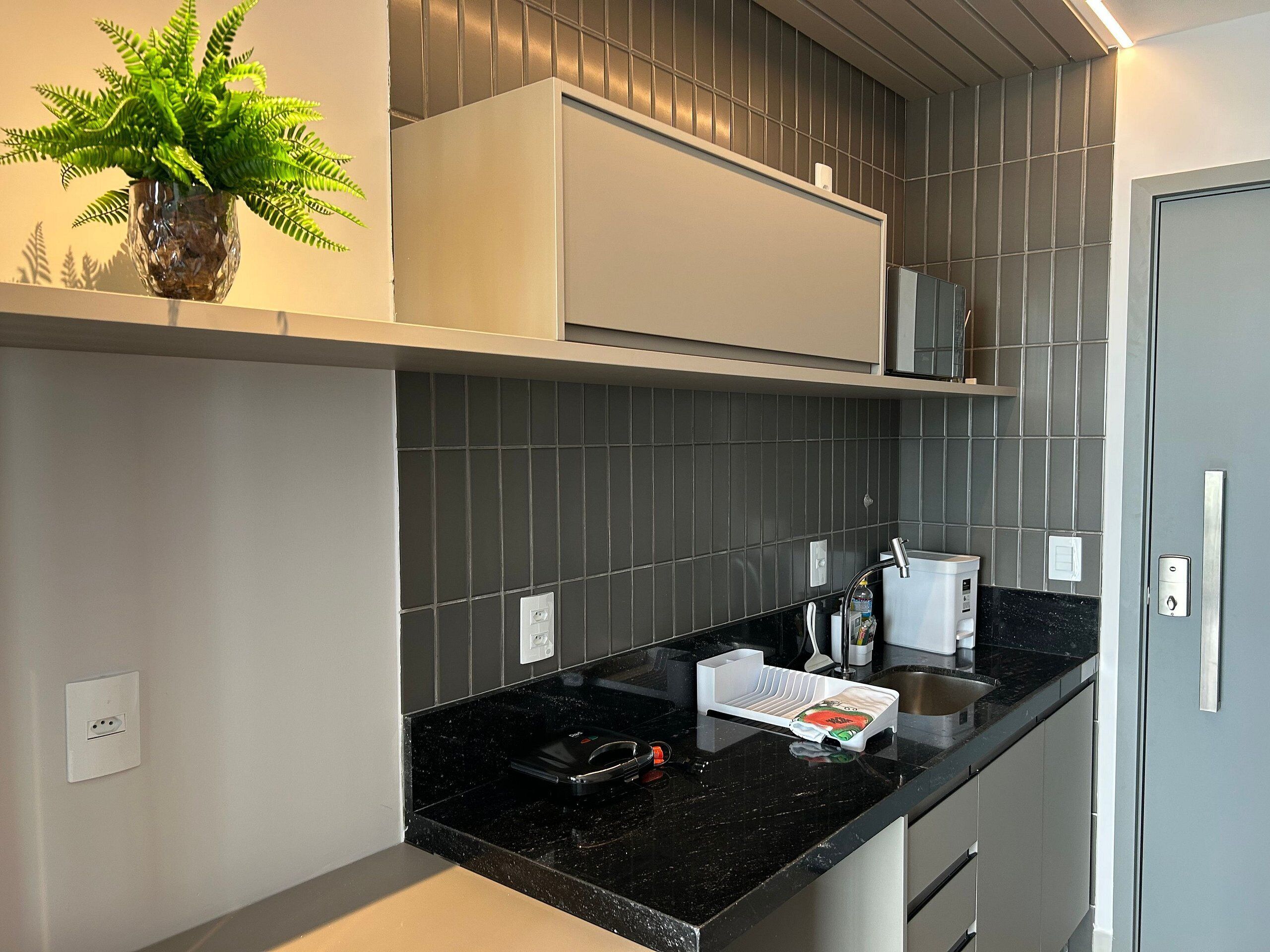 A modern kitchen with a black countertop, a built-in oven, and a potted plant on the shelf.
