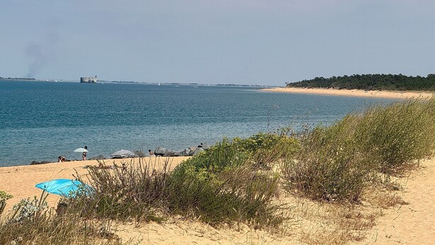 A beach with a clear view of the sea, a sandy shore, and some vegetation in the foreground.