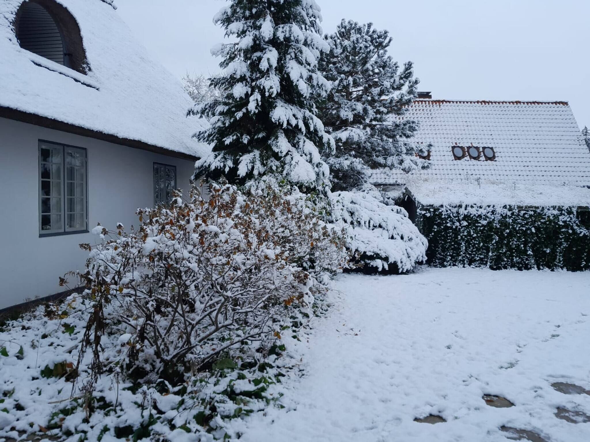 别墅, 5 间卧室, 无障碍, 阳台 | 住宿场地