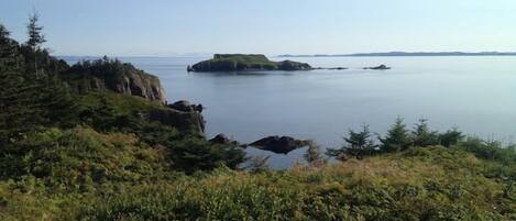 A coastal landscape with a grassy foreground, rocky cliffs, and a calm sea.