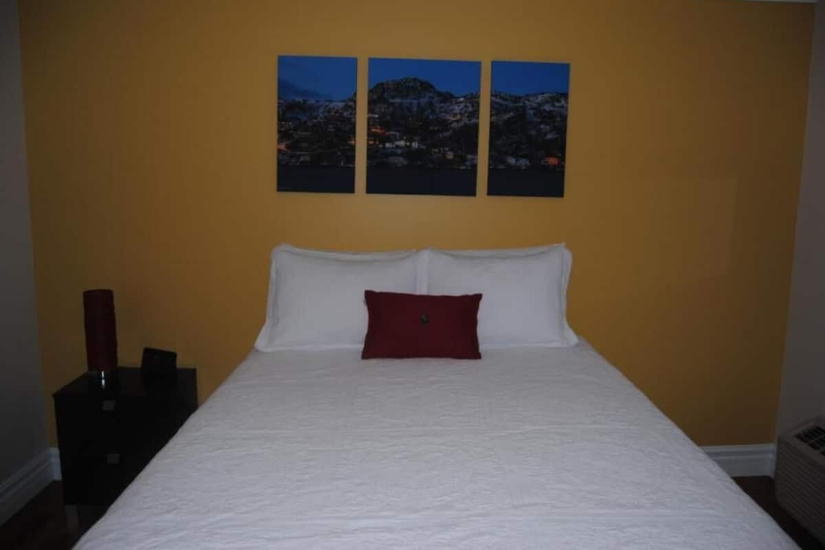 Chambre Simple Confort, non-fumeurs, animaux de compagnie acceptés | Wi-Fi gratuit