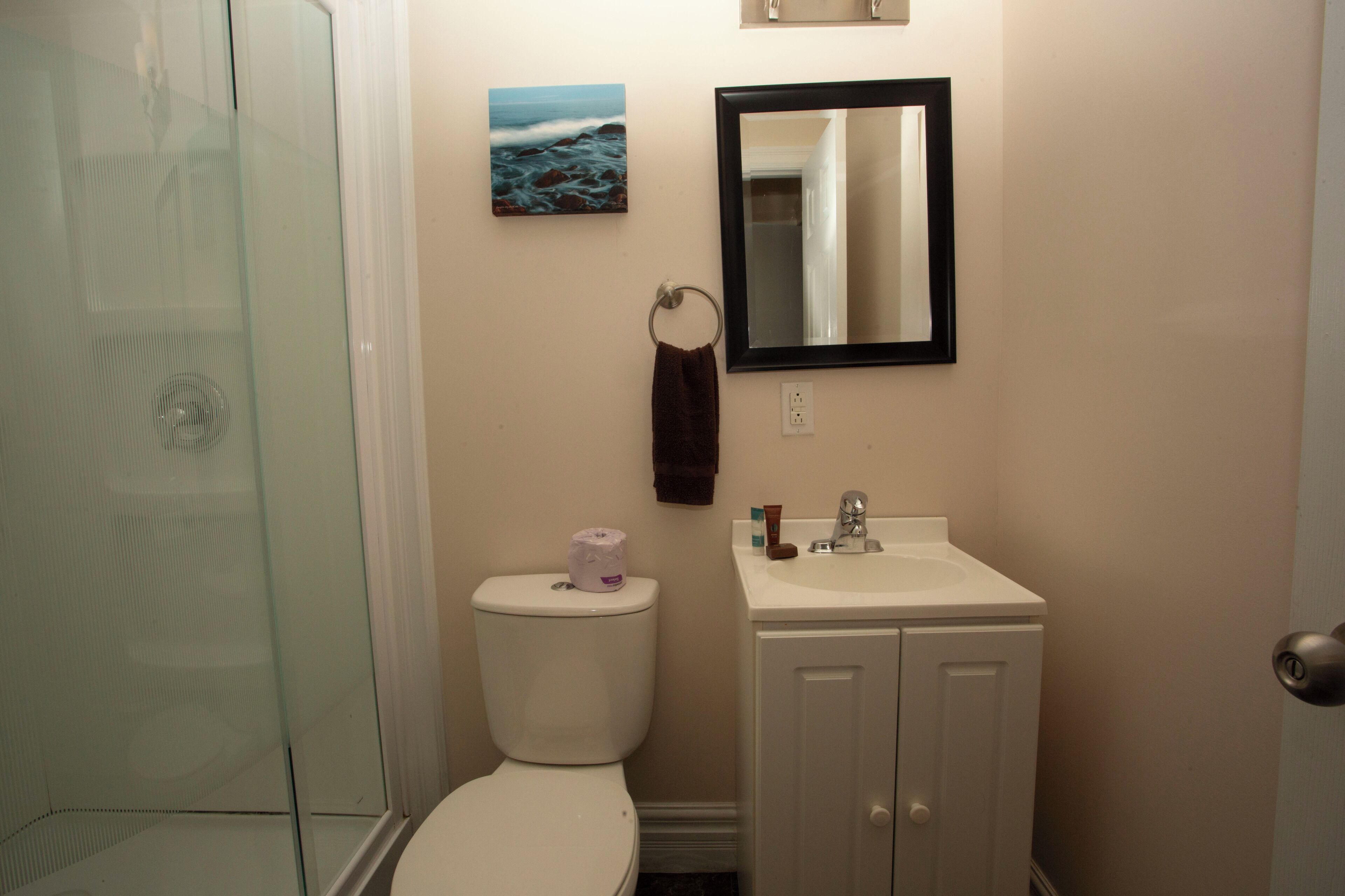 Une salle de bain équipée de toilettes, d’un lavabo, d’un miroir et d’une douche à parois en verre.