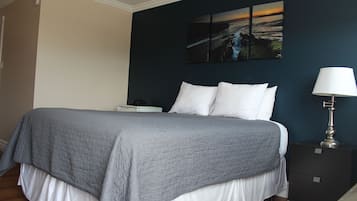 Standaard studio, niet-roken, huisdieren toegestaan | Gratis wifi