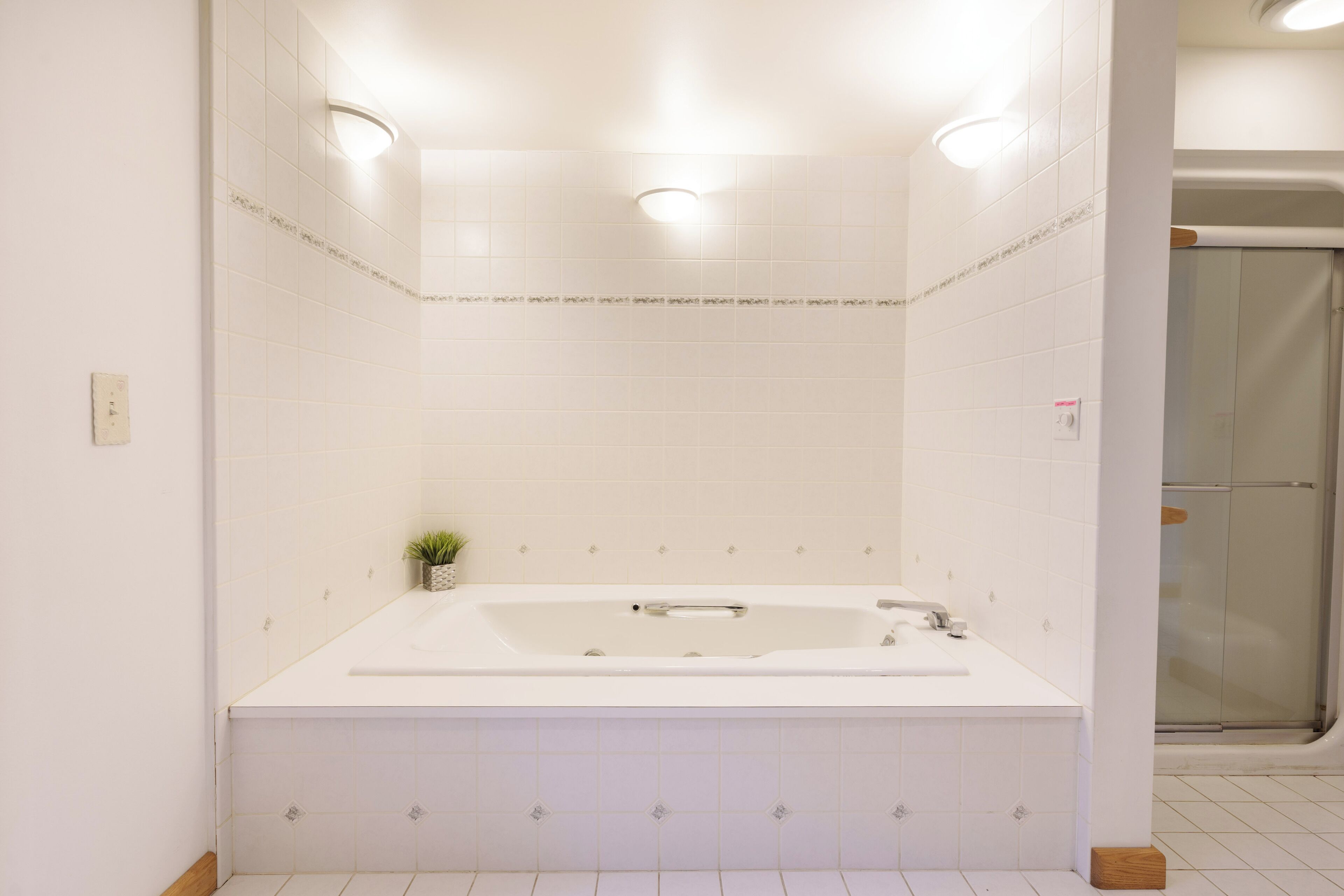 A modern bathroom with a large bathtub, a small potted plant, and a glass shower enclosure.