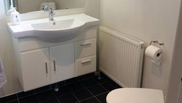 Shower, towels, toilet paper