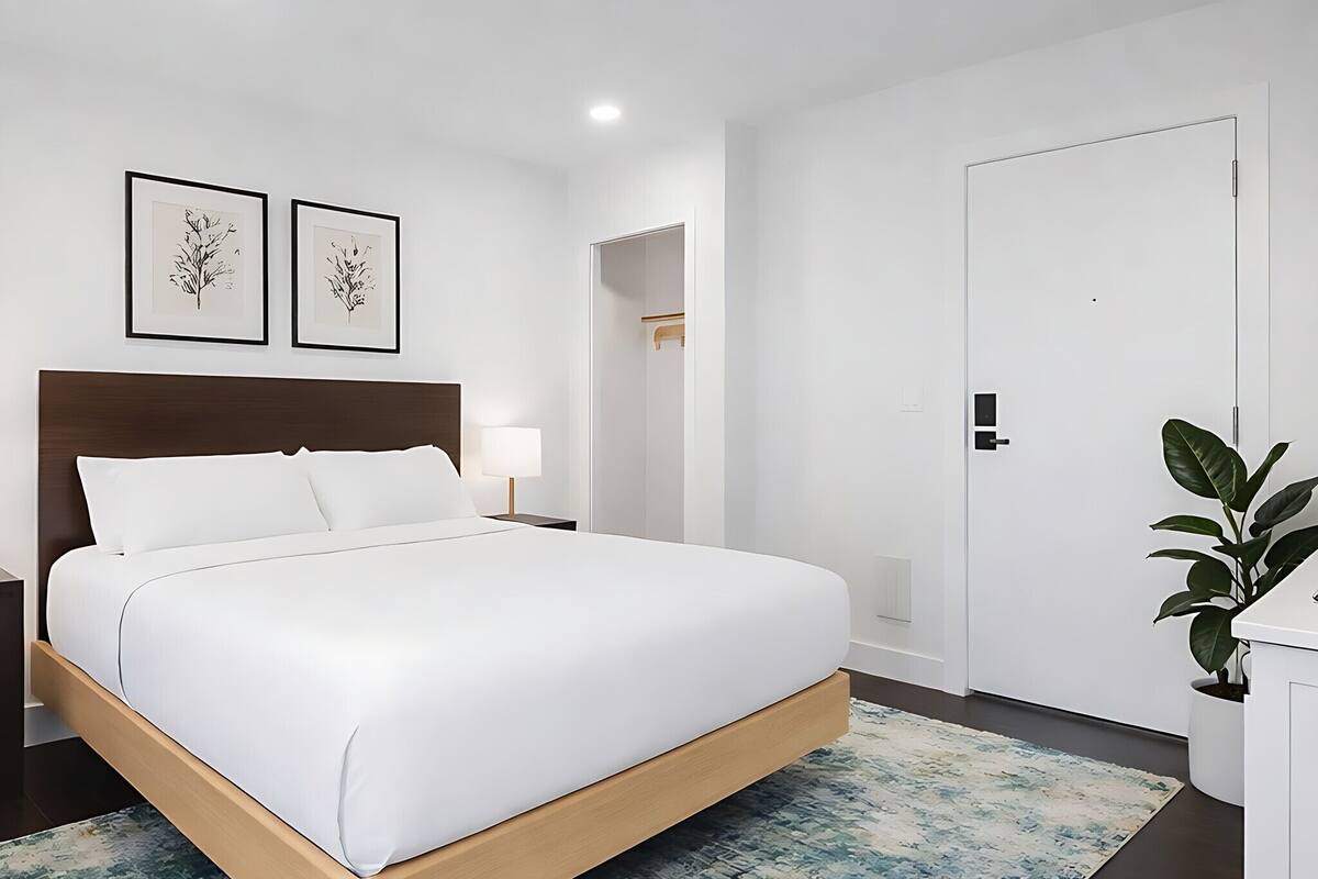 A modern hotel room with a large bed, a nightstand, a bedside table, a door, and a potted plant.