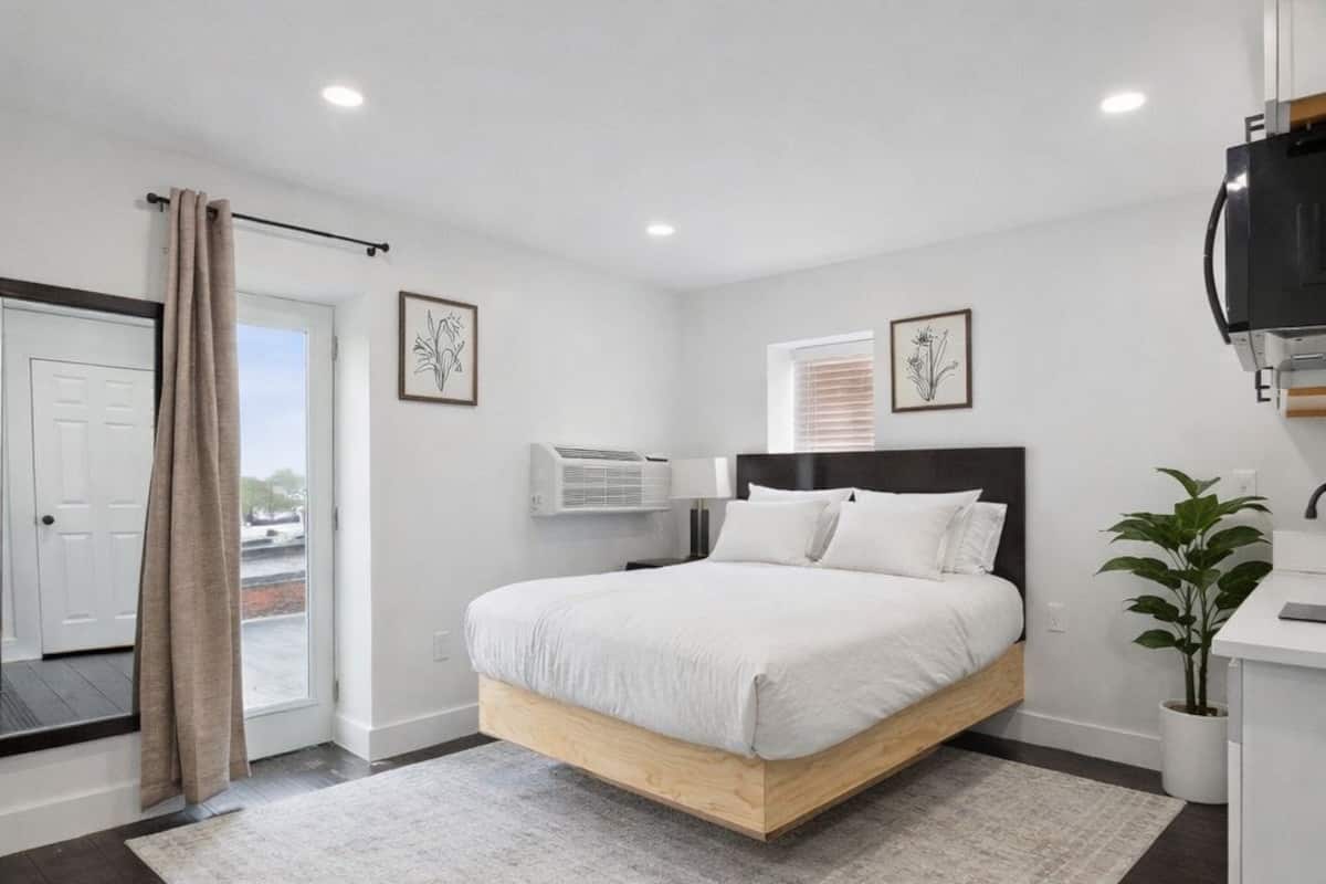 A modern bedroom with a large bed, a ceiling fan, and a potted plant.