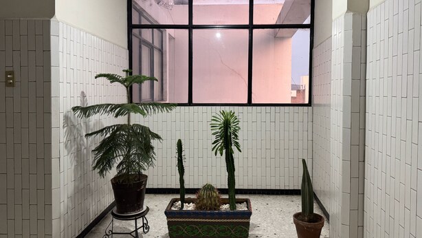 Un pasillo con paredes de azulejos blancos, un ventanal grande y varias macetas con plantas.