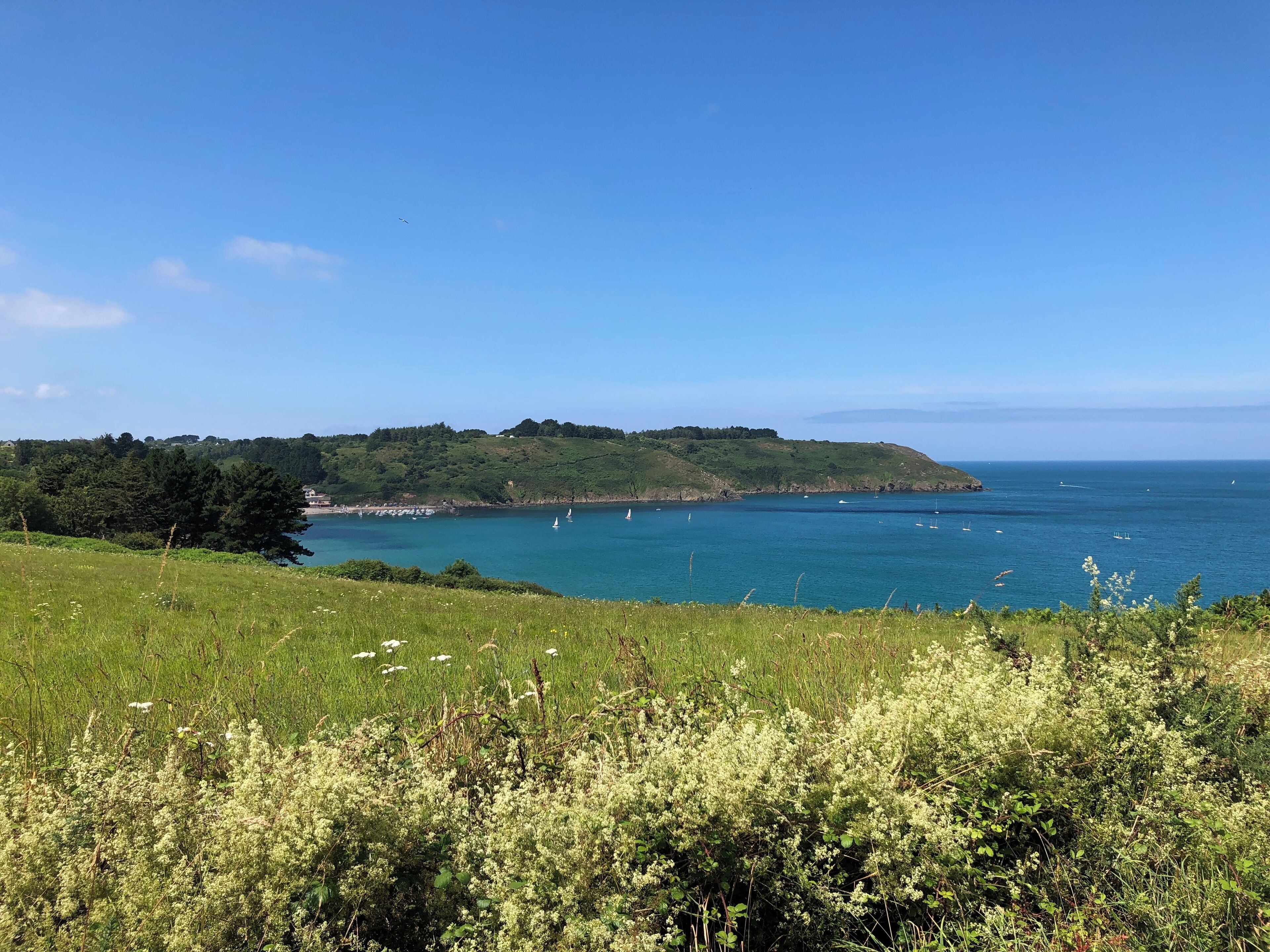 Un paysage côtier avec un premier plan herbeux, une colline parsemée d’arbres et une mer calme où voguent des bateaux.
