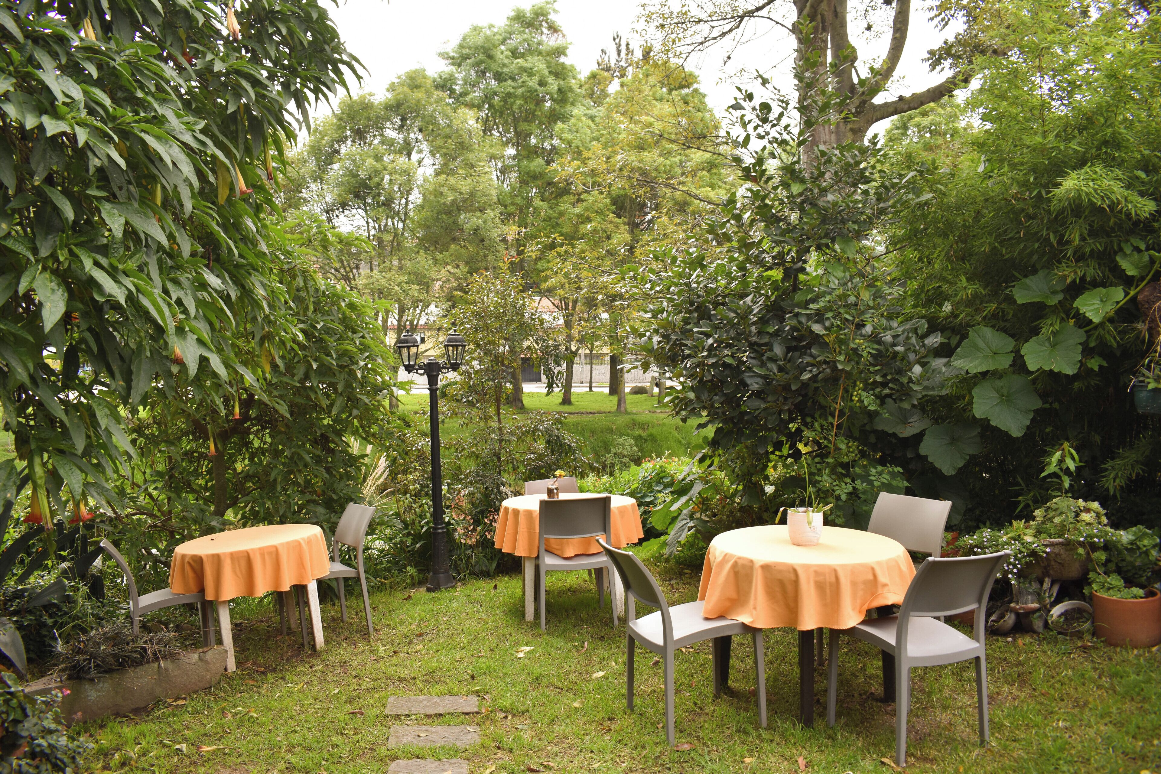 Une terrasse de jardin agrémentée de tables et de chaises, entourée d’une végétation luxuriante et d’arbres.