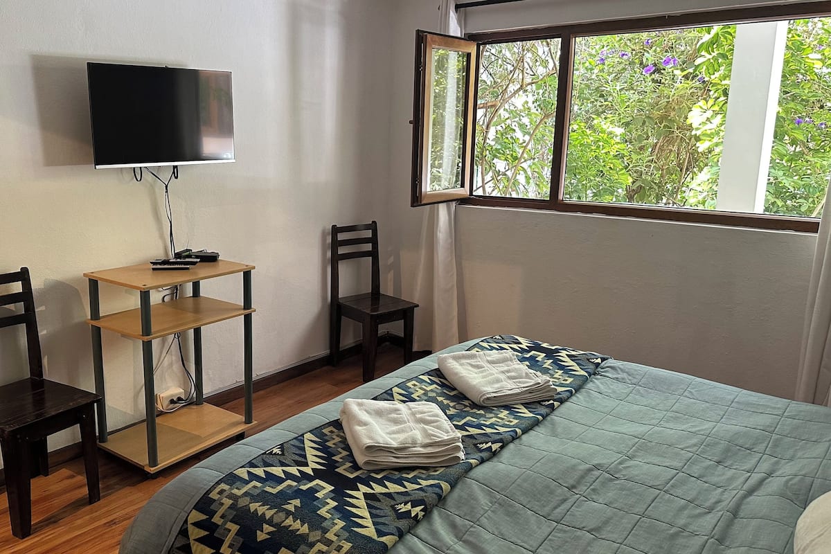 Una habitación con cama, un escritorio y silla, televisión y ventana con vista a follaje.