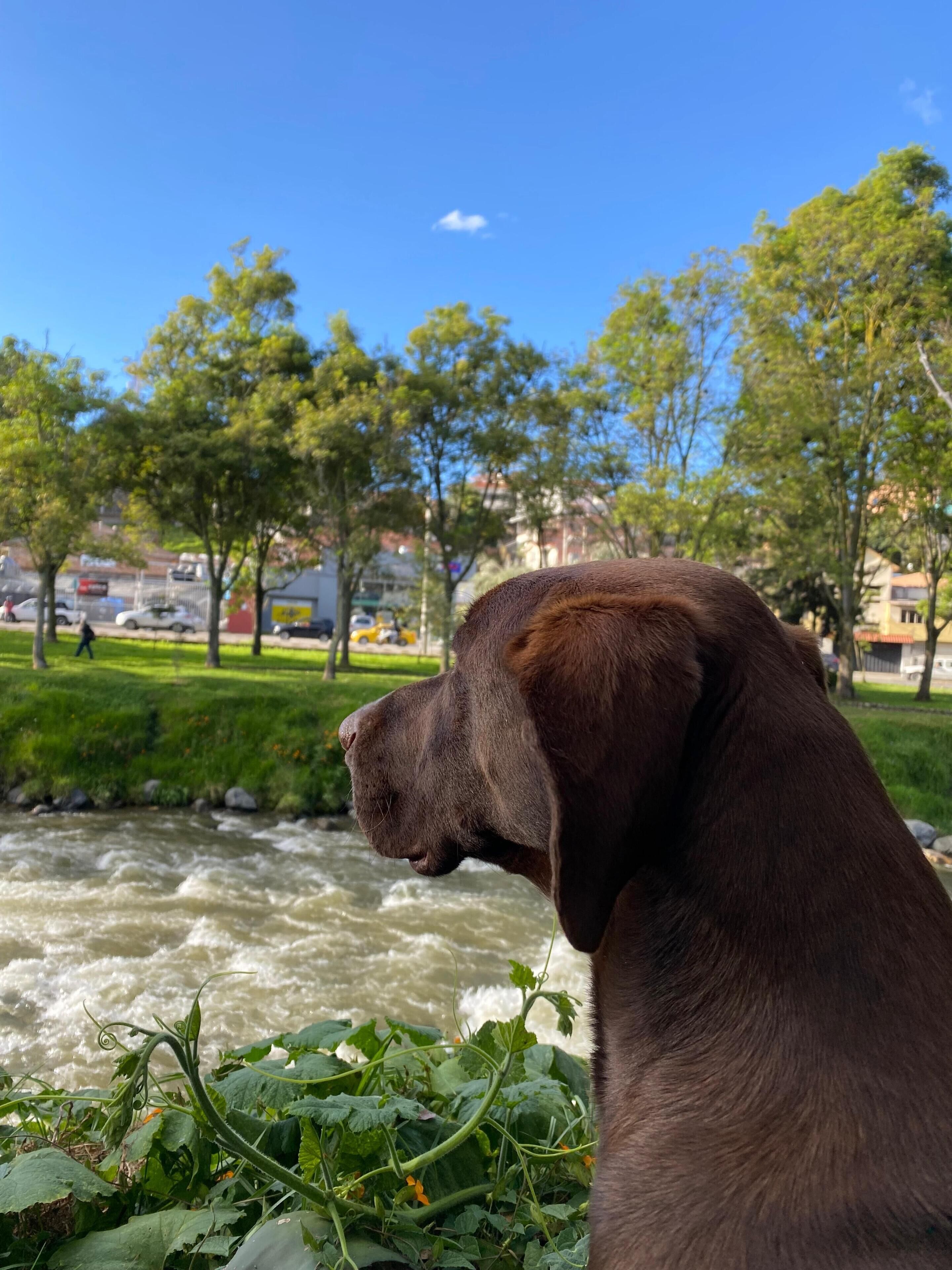 Foto - Apartamentos Otorongo Cuenca Ecuador