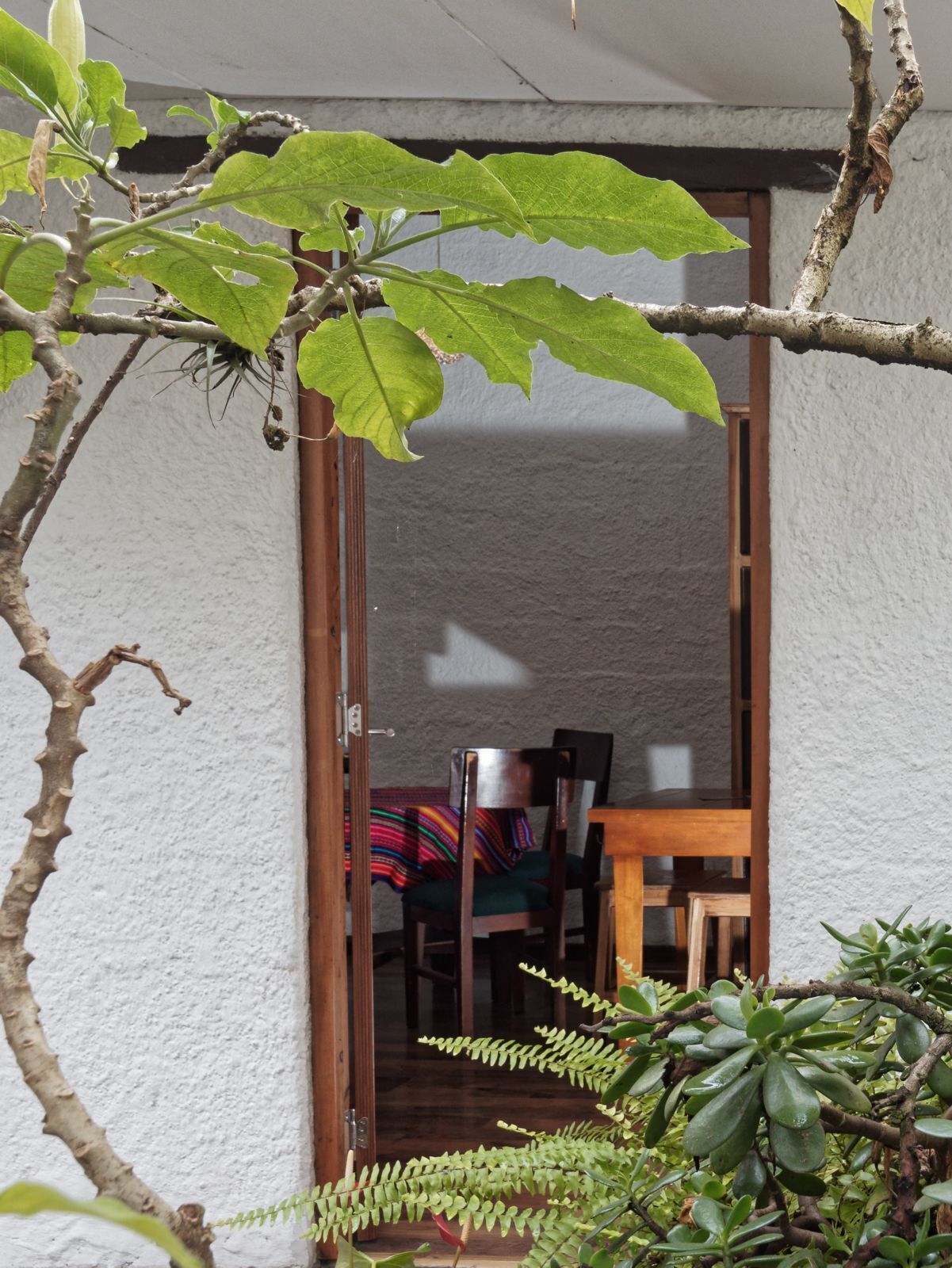 Foto - Apartamentos Otorongo Cuenca Ecuador