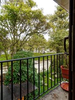 Vista desde la habitación