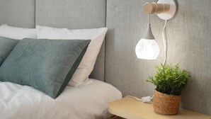 A neatly made bed with pillows, a bedside lamp, and a small potted plant on a bedside table. - Old Village Hostel (Ponte de Lima)