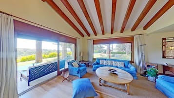 Una Smart TV, una chimenea, libros