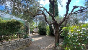 A stone-paved courtyard with a large tree, stone walls, and various plants.