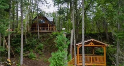 Chalet Lynx