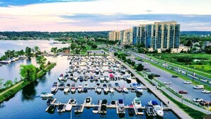 A marina with numerous boats docked, a road adjacent to the water, and high-rise buildings in the background.