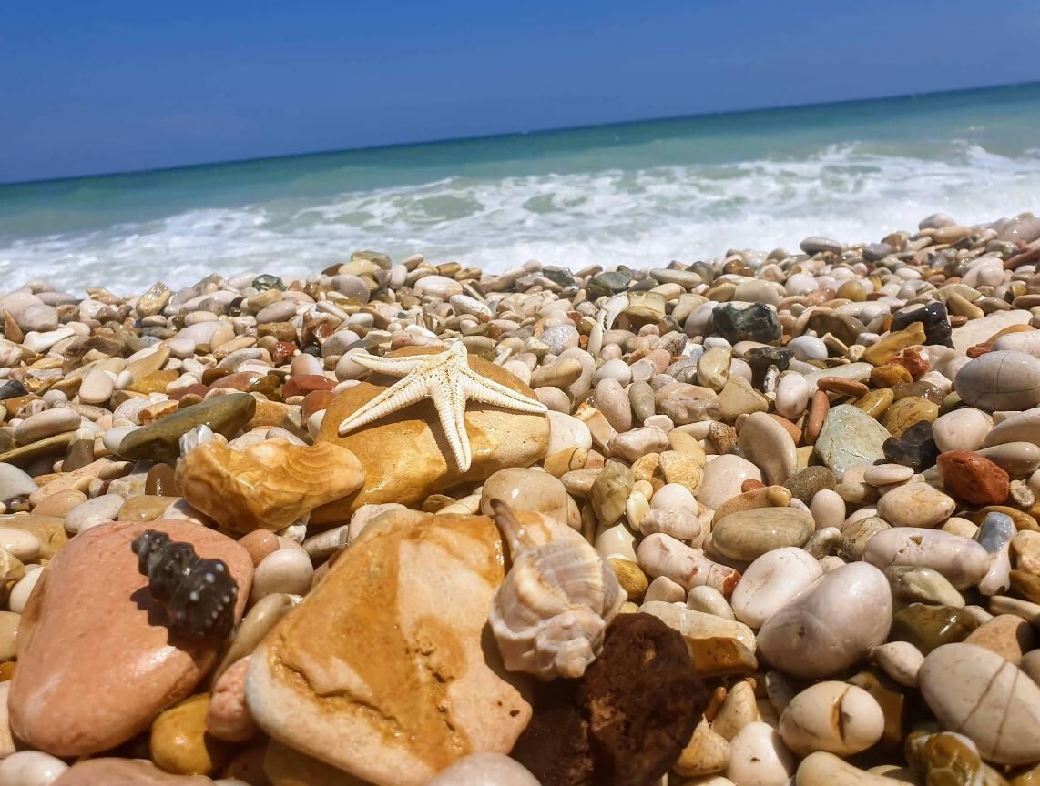A beach with a variety of pebbles and a starfish.