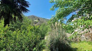 A lush, green landscape with dense foliage and a stone wall. - At Stalla in the mountains near a stream (Ortiporio)