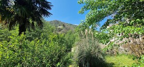 A lush, green landscape with dense foliage and a stone wall. - At Stalla in the mountains near a stream (Ortiporio)
