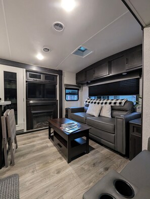 Smart TV, fireplace, books, video library