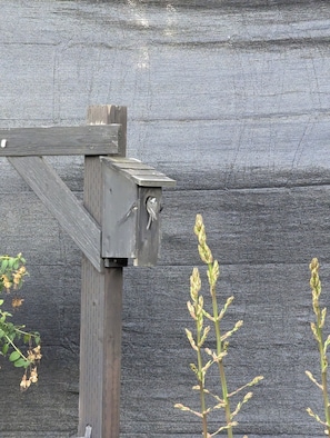 Een houten constructie met een metalen doos eraan bevestigd, voor een structuurrijke achtergrond.