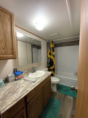 Hair dryer, towels, soap, toilet paper