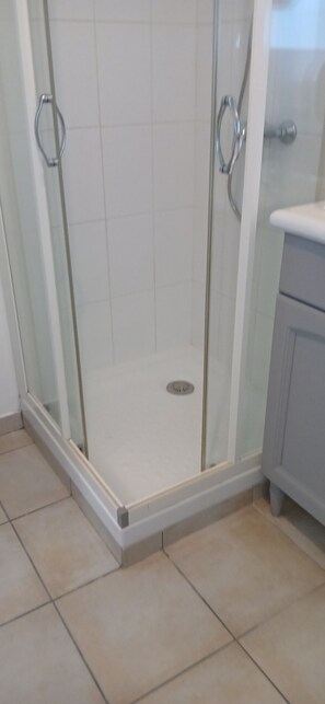 Shower, towels, soap, toilet paper