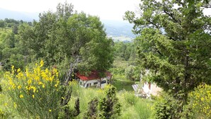 Ein Haus mit rotem Dach, eingebettet in üppiges Grün und gelbe Blumen, umgeben von Bäumen und Hügeln im Hintergrund.