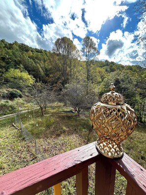 Terrain de l’hébergement 