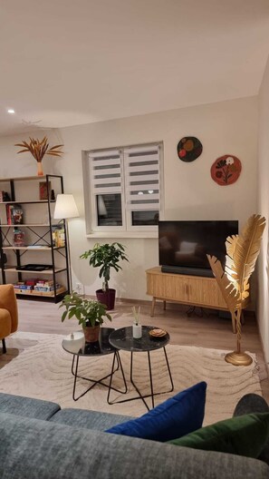 智能電視、DVD 播放機、書籍、影像庫