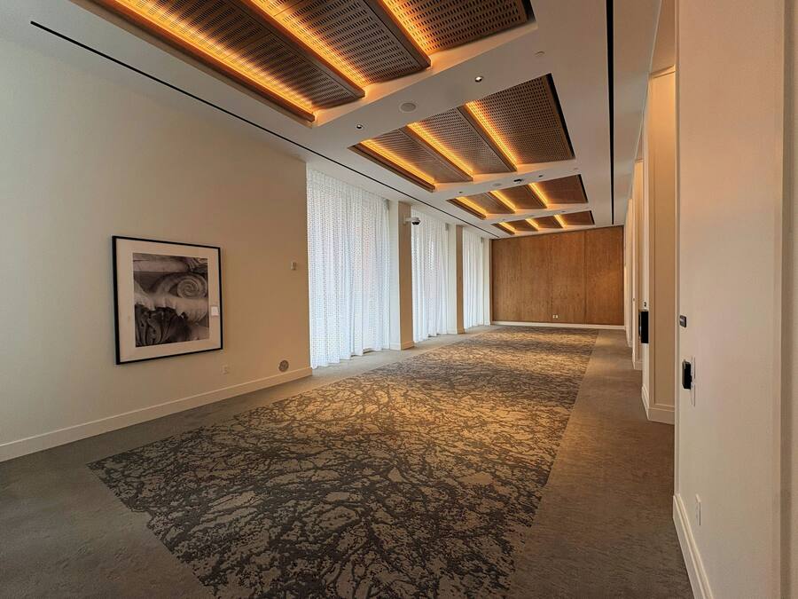 Un pasillo amplio con alfombra estampada, iluminación empotrada y una obra de arte enmarcada en la pared.