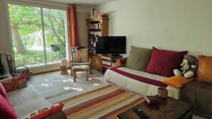 TV connectée, cheminée