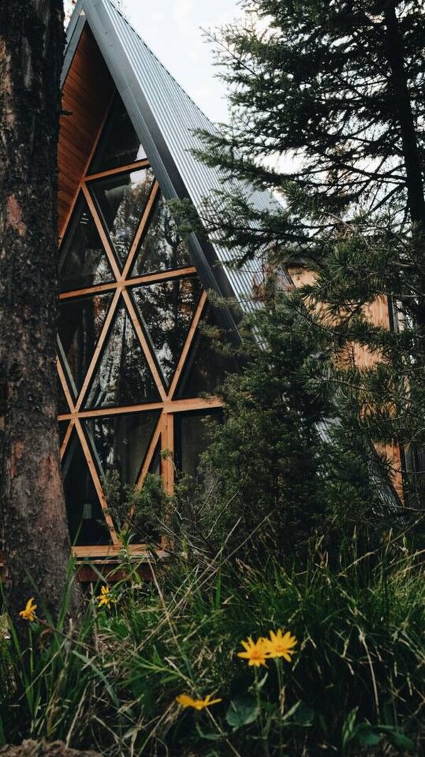 Detalj exteriör
