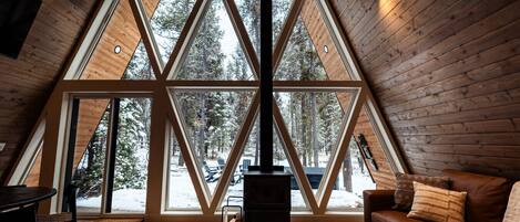 Smart TV, fireplace, books