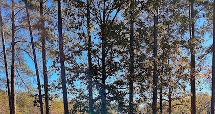 3-bedroom cabin nestled on 80 acres with WiFi, AC on private 5-acre lake.