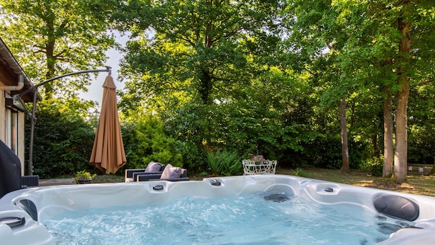 A hot tub in a garden with trees and a patio area. - La Salamandre - maison avec jacuzzi (Selles-sur-Cher)