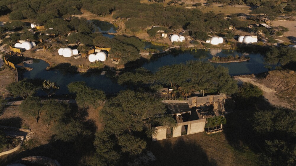 Campera Hotel Burbuja by null