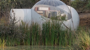 Una estructura en forma de cúpula con techo transparente, rodeada de pastos altos y árboles, cerca de una masa de agua.