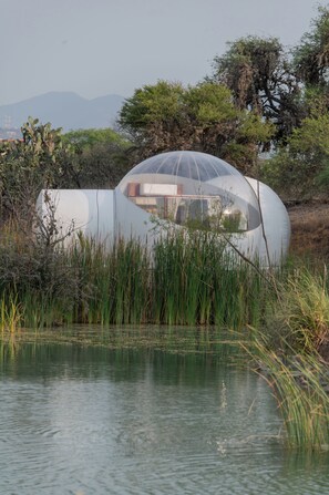 Vistas desde la habitación