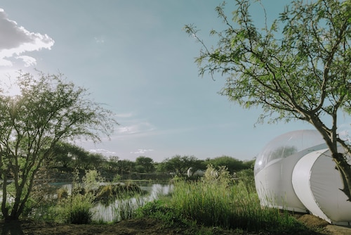 Campera Hotel Burbuja