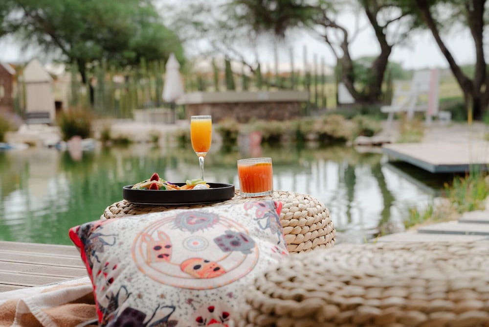 Campera Hotel Burbuja by null