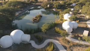 Un área ajardinada con un estanque, estructuras esféricas y un sendero serpenteante.