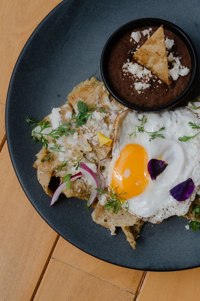 Campera Hotel Burbuja by null