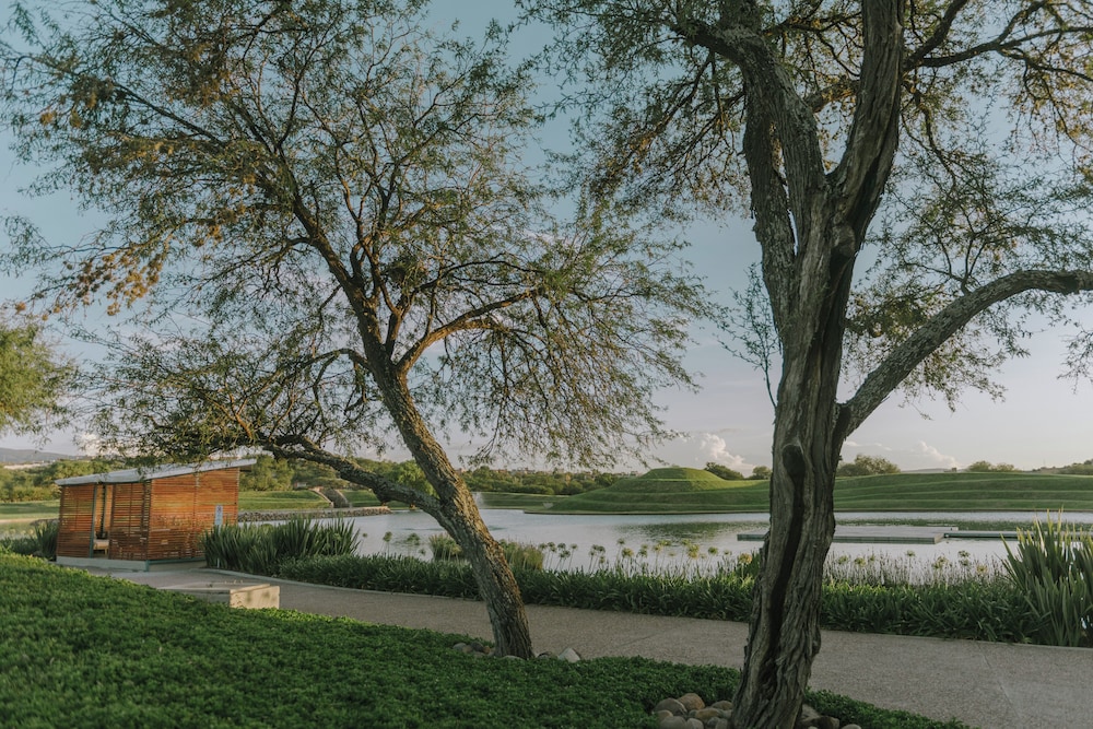 Campera Hotel Burbuja by null