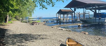 Spotted Sandpiper - Cabin #3