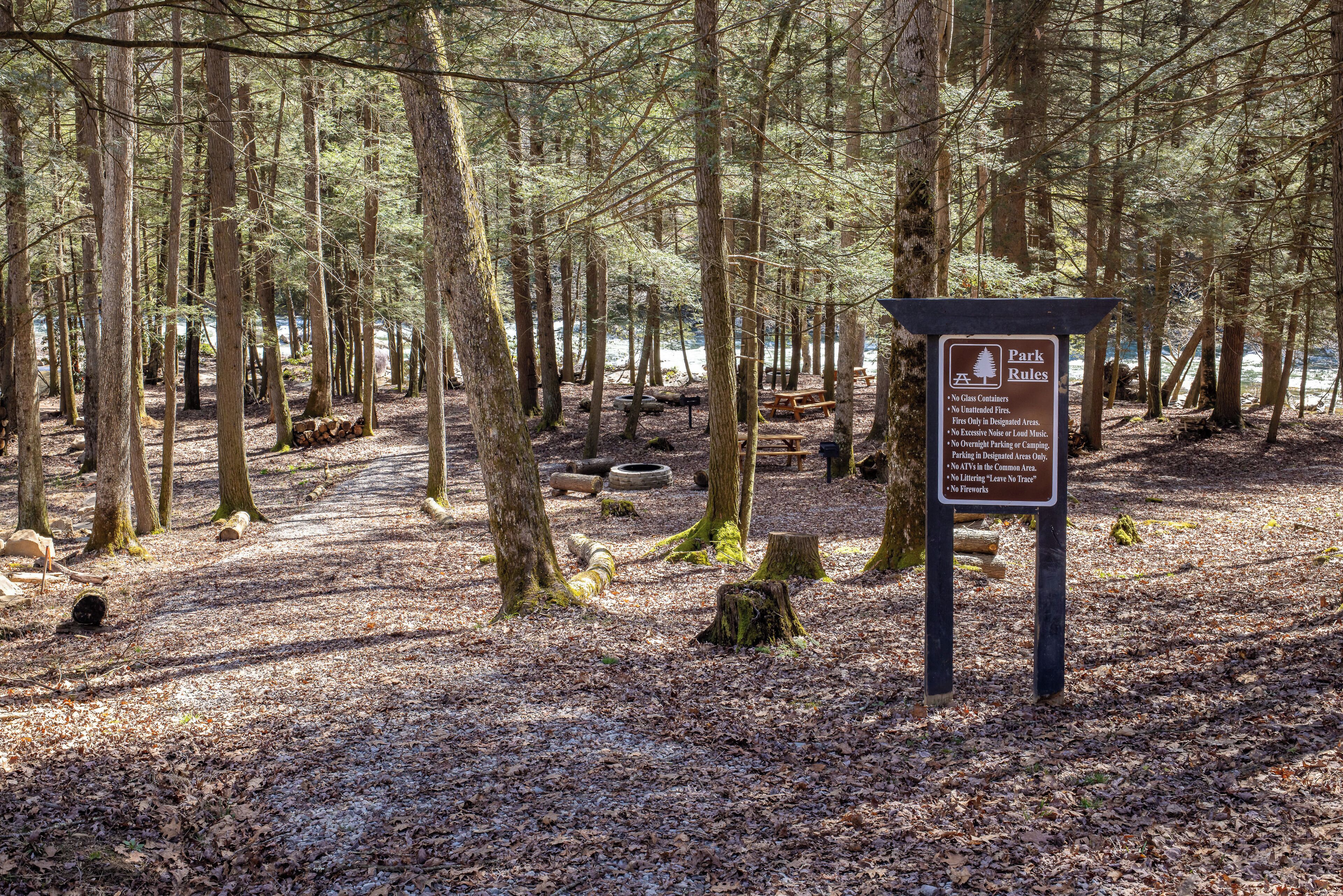 A forested area with a sign indicating park rules.