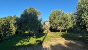 A dirt path leading to a stone building surrounded by trees.